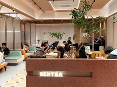 -森茶(湛江万达店)