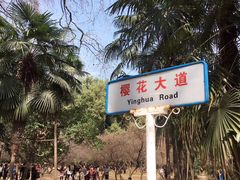 -武汉大学-樱园