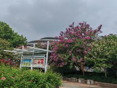 -杭州城北体育公园