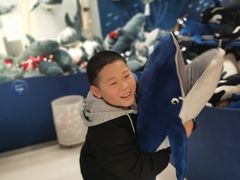 -宜家家居(四元桥商场店)
