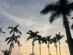 -白城沙滩