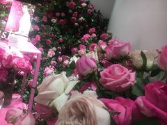 -新世界大丸百货