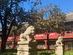 -北京石刻艺术博物馆(五塔寺)