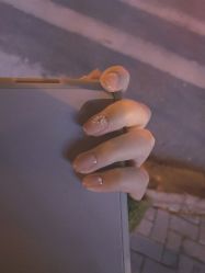 -花萤Hanako·轻奢美甲美睫