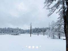 -瓦屋山景区