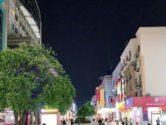 -沙洲路步行街(长安南路店)