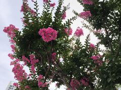 -唐城墙遗址公园