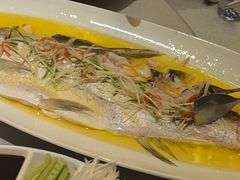 -便宜坊烤鸭店(科创店)