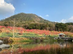 -广州市石门国家森林公园
