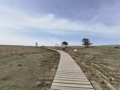 -芦芽山旅游度假区
