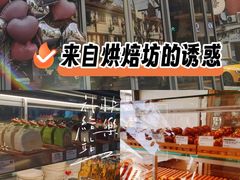 -WHEN PIGS FLY当猪飞