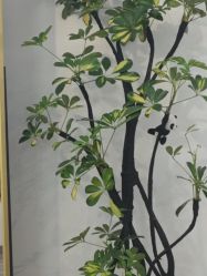 -S&G Beauty轻奢皮肤管理中心