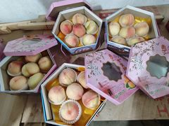 -南汇水蜜桃采摘(大团店)