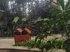 -郑州银基黄帝宫御温泉