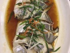 -吕四渔港码头海鲜餐厅