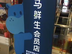 -盒马鲜生(大成店)