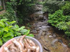 -鼎湖山风景区