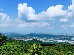 -东莞市大岭山森林公园