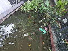 -大妙火锅·非物质文化遗产(东湖公园店)