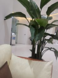 -KeCare科颜精准护肤