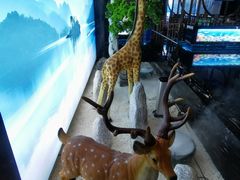 -海韵足道(泰合广场店)
