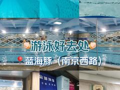 -蓝海豚游泳俱乐部(南京西路店)