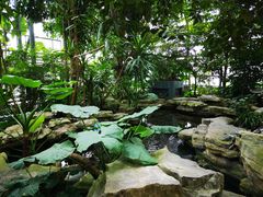 -南山植物园