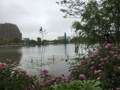 -海天湖公园
