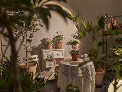 -芳香乐府疗愈空间·SPA·冥想