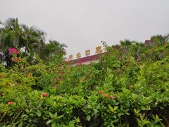 -珠海拱北口岸