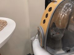 -爱诺耐芙动物医院(万博店)