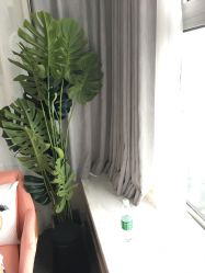 -汐月Health纤体spa中心