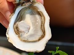 -普朗姆生蚝吧(原建国路店)