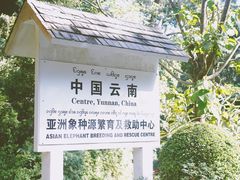 -野象谷景区
