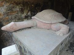 -上海佘山国家森林公园天马山园