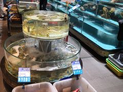 -强记海鲜·大排档(蛇口新街店)