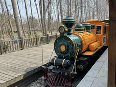 -合肥滨湖国家森林公园