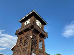 -永定河休闲森林公园