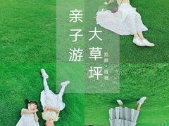 -迪茵湖田家舍生态农场