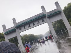 -武汉大学-樱园