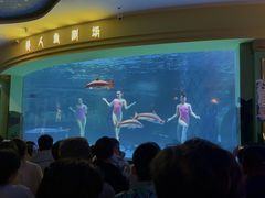 -西双版纳原始森林公园