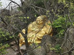 景点-紫金山山顶公园