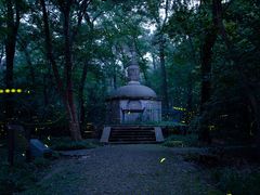 -灵谷景区