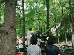 -青龙山国家森林公园