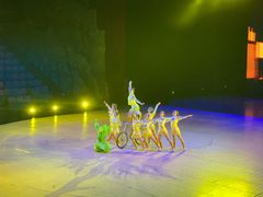 -重庆国际马戏城
