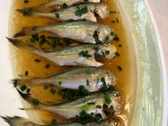 清蒸梅子鱼-壹只菜·崇明本地特色菜(崇明南门店)