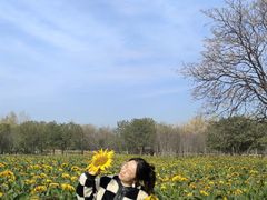 -汉长安城未央宫国家考古遗址公园