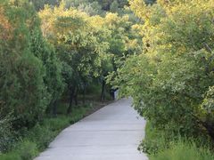 -北京西山国家森林公园