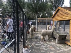 -长白岛森林公园