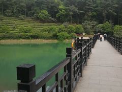 -九龙潭景区